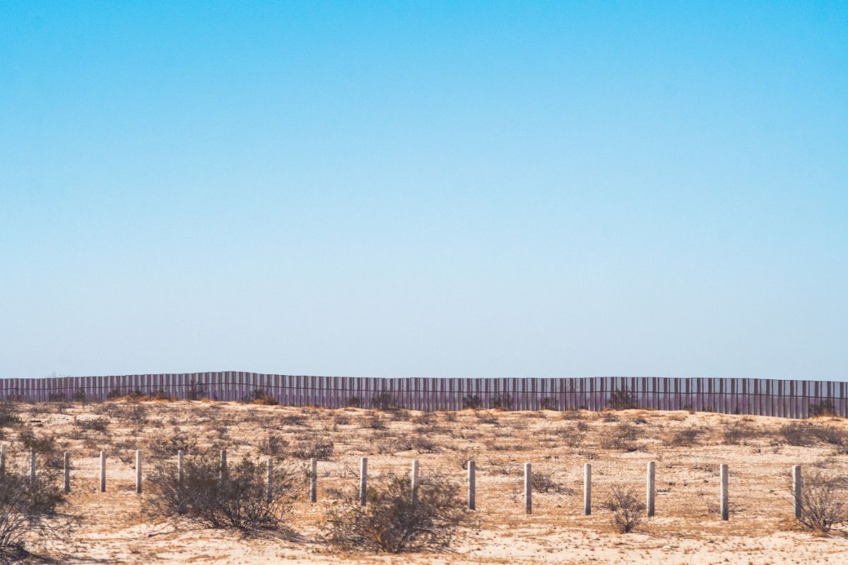 What Impact Do Border Walls Have On Wildlife?