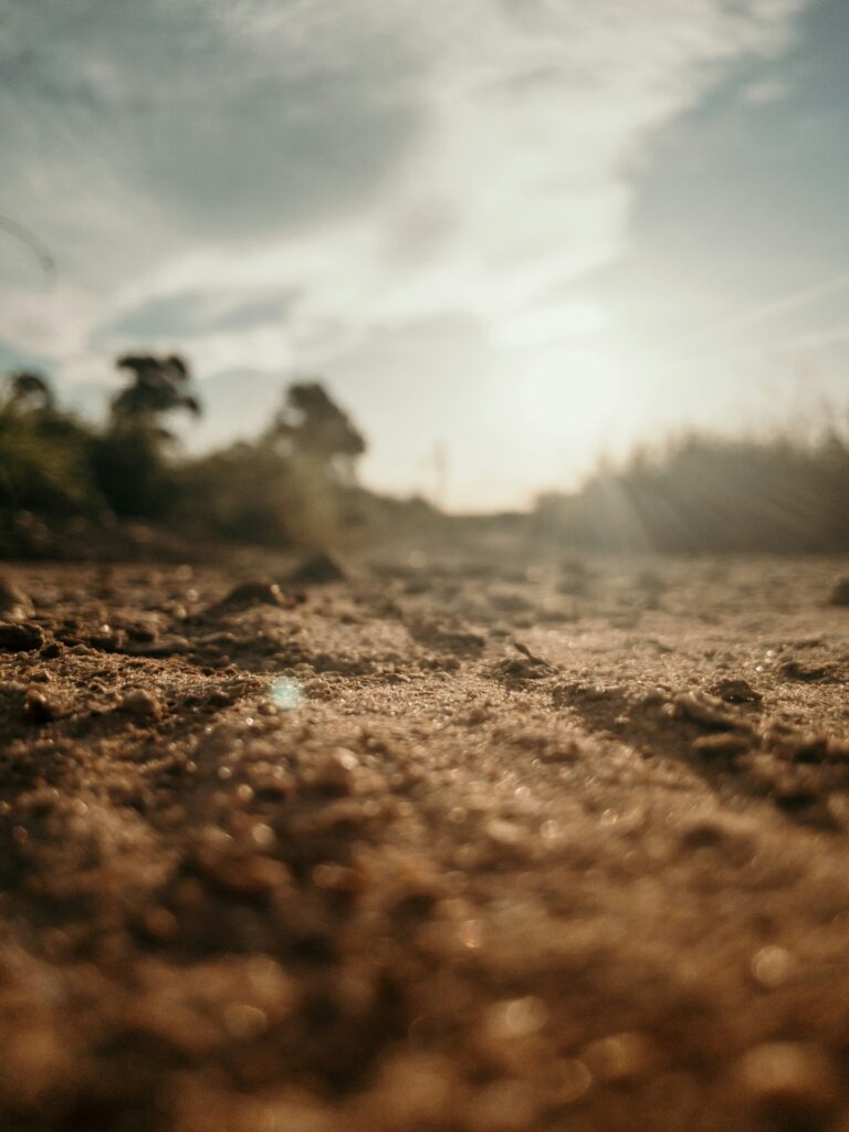 soil importance