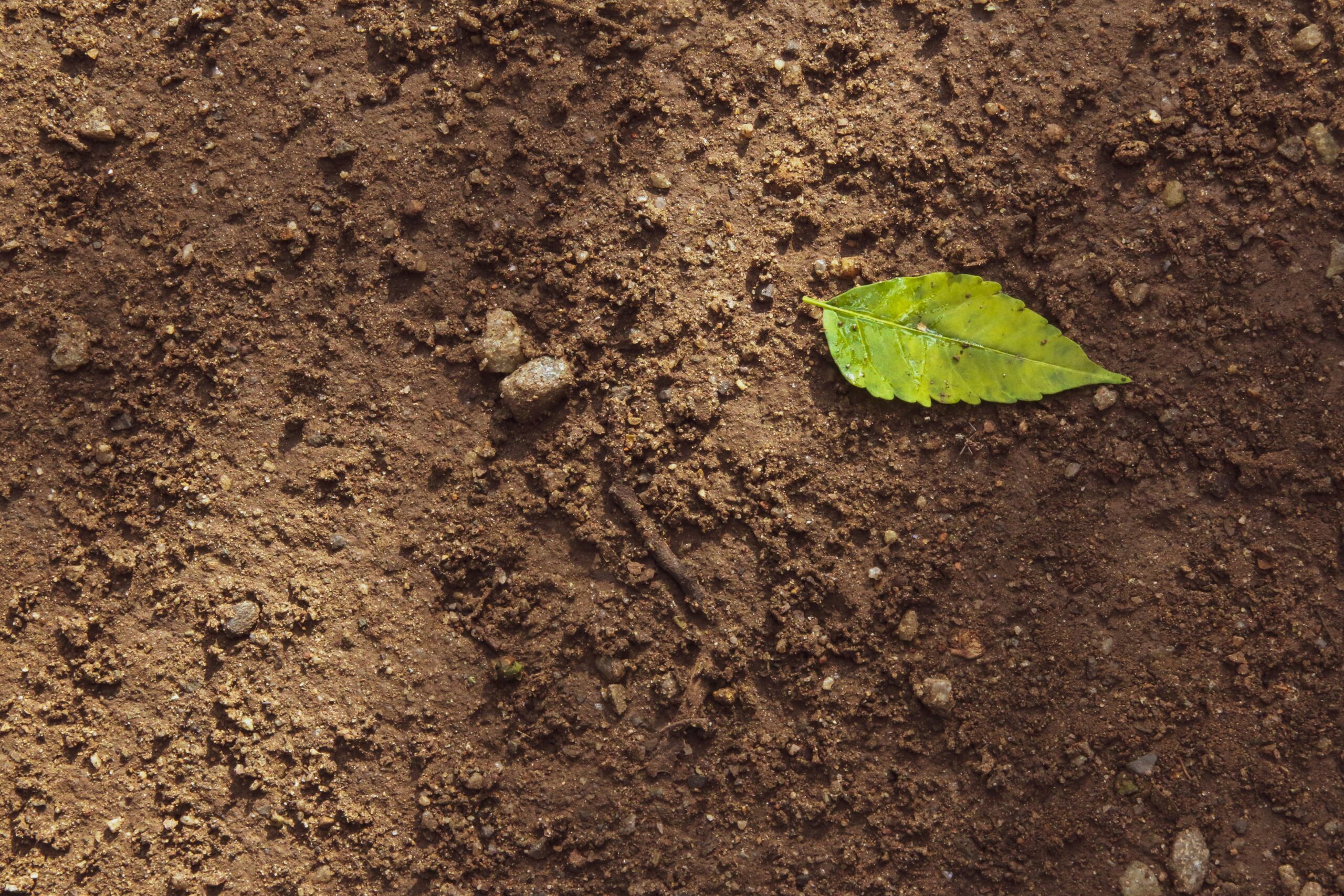 soil health